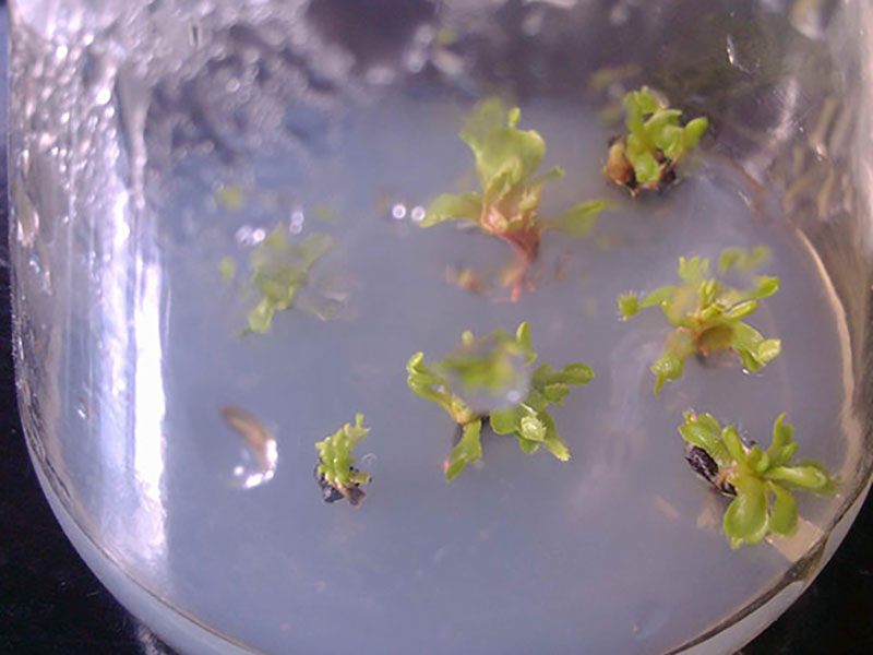 哔咔漫画APP官网进入