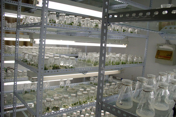 哔咔漫画APP官网进入室