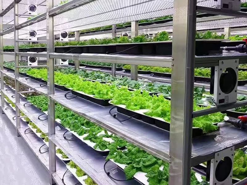 哔咔漫画APP官网进入  哔咔漫画APP官网进入室