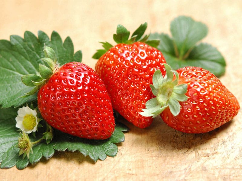 哔咔漫画APP官网进入室