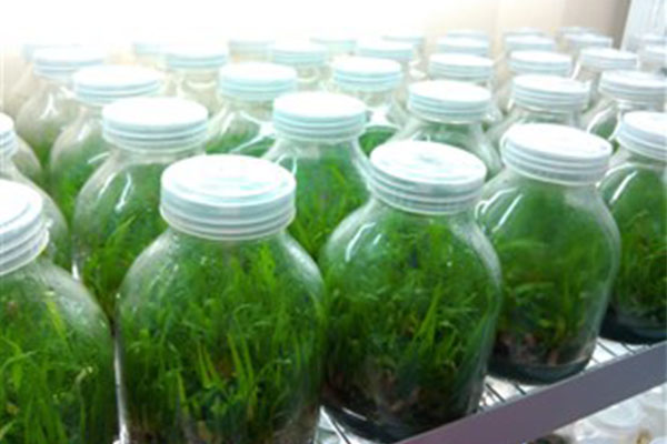 哔咔漫画APP官网进入仪器