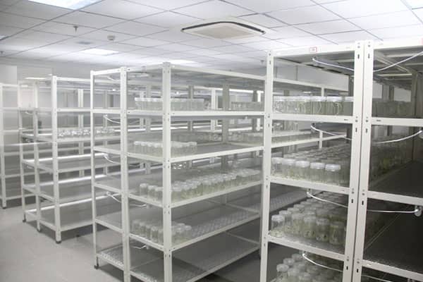 哔咔漫画APP官网进入架