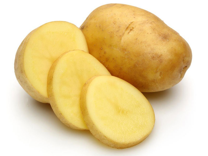 哔咔漫画APP官网进入室