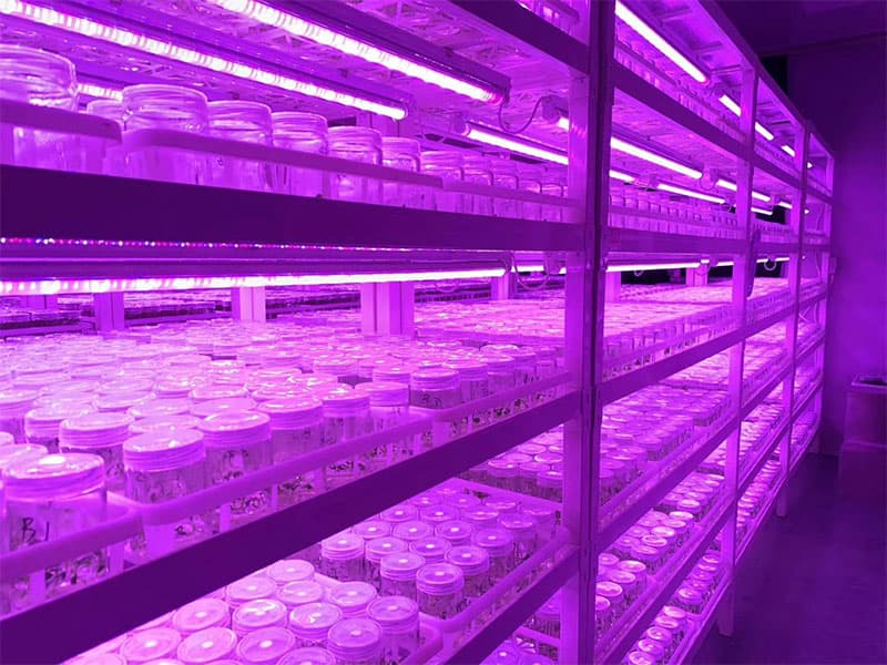 哔咔漫画APP官网进入