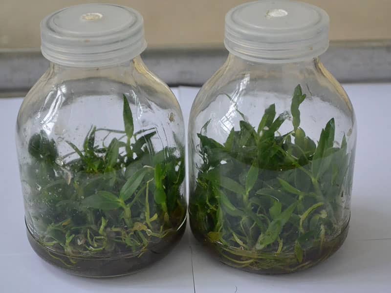 哔咔漫画APP官网进入瓶