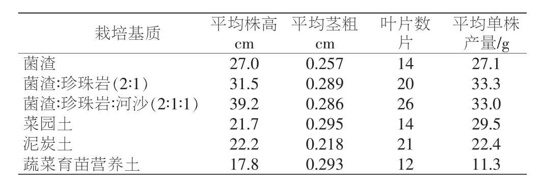 黄精哔咔漫画APP官网进入苗移栽技术研究