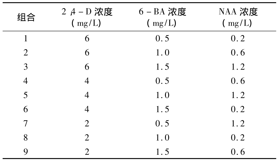 柳枝稷种子哔咔漫画APP官网进入快繁技术
