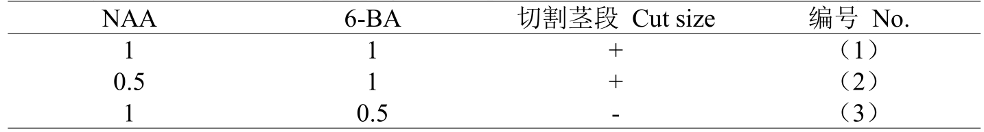 铁皮石斛哔咔漫画APP官网进入体系的建立