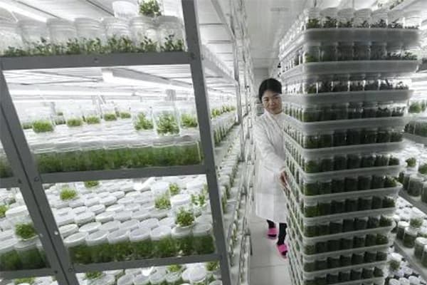 植物哔咔漫画APP官网进入培养室基本原理