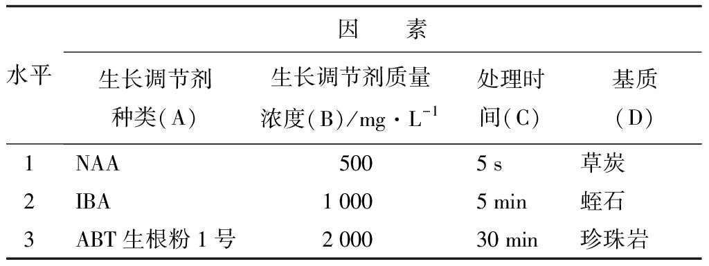 轮生冬青哔咔漫画APP官网进入苗微枝试管外生根技术