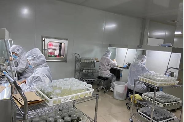 哔咔漫画APP官网进入工厂设计建设的注意事项